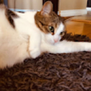 Meet your Posher, Jamie